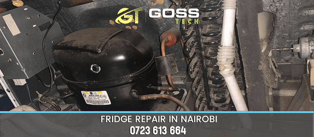 FRIDGE REPAIR EXPERTS NAIROBI KENYA